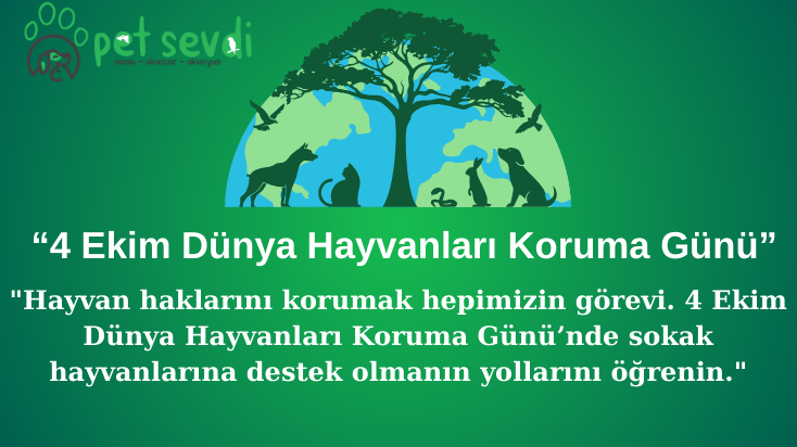 4 Ekim Dünya Hayvanları Koruma Günü: Sessiz Dostlarımızı Unutmayalım