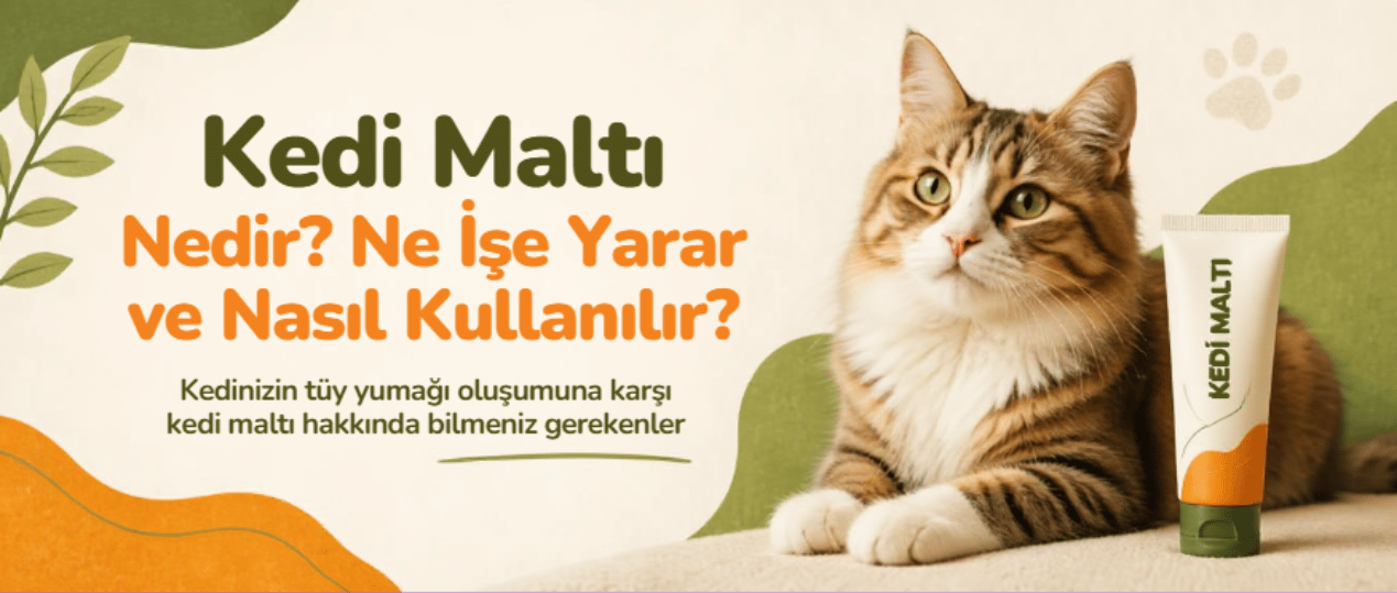Kedi Maltı Nedir? Ne İşe Yarar ve Nasıl Kullanılır?