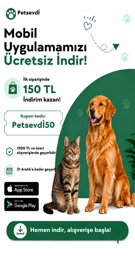 Mobil Uygulama