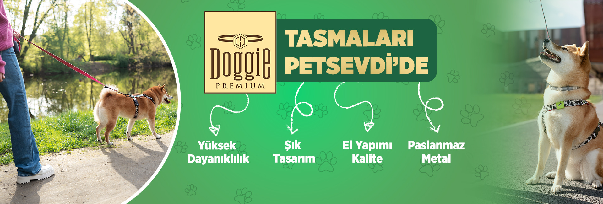 Doggie