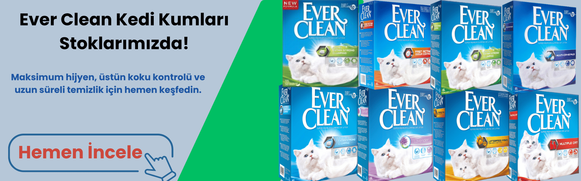Ever Clean