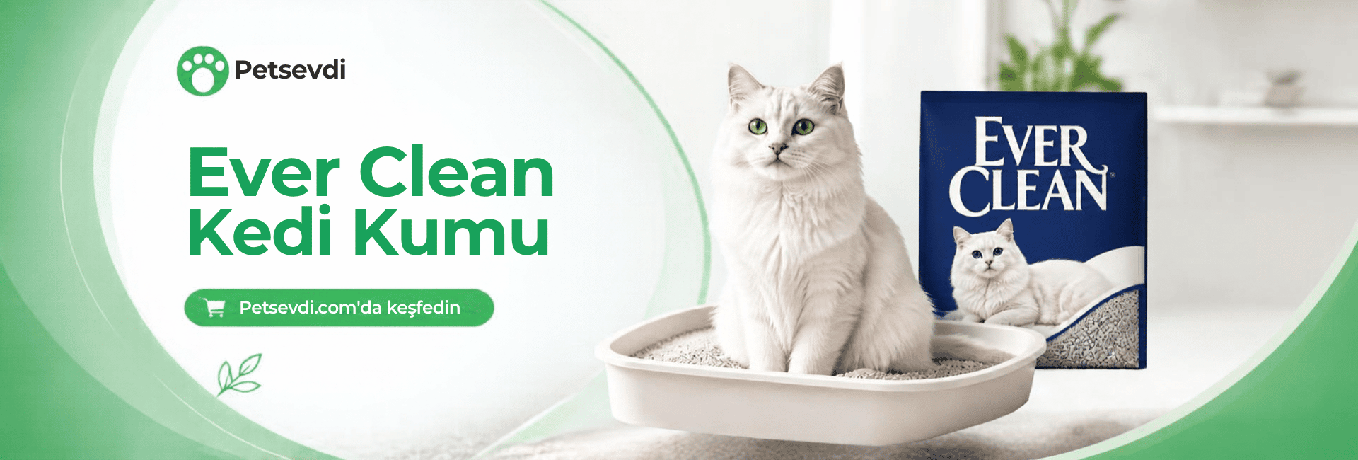 Ever Clean