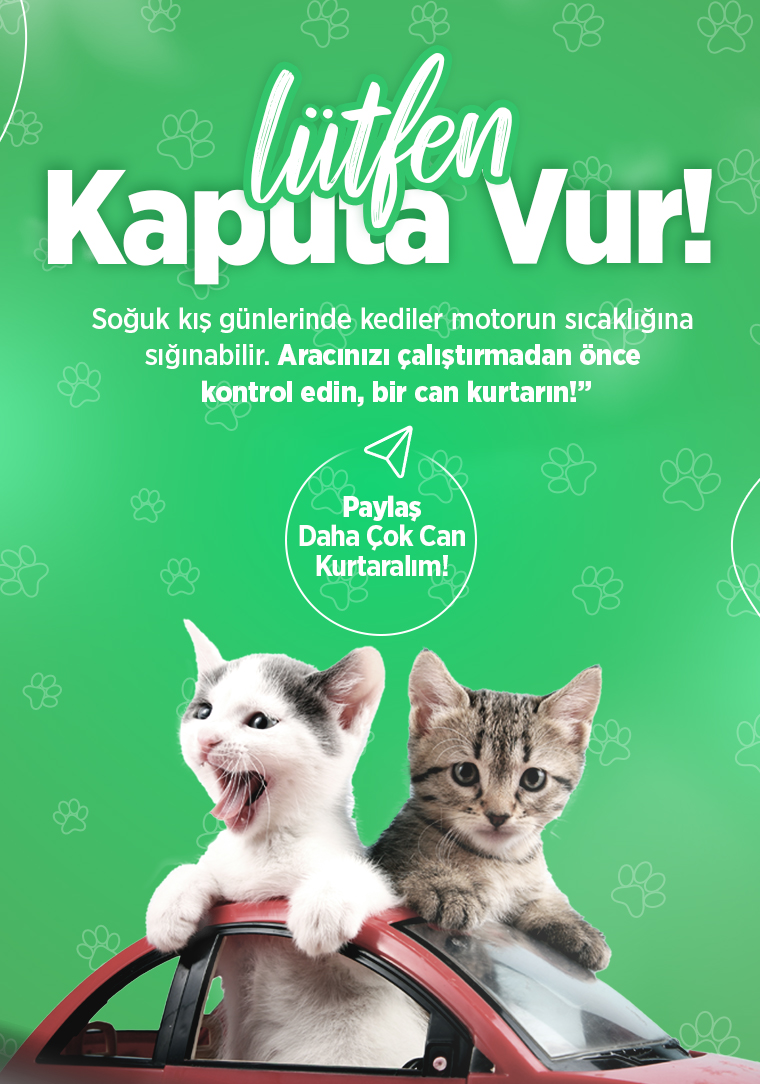 Kaputa Vur