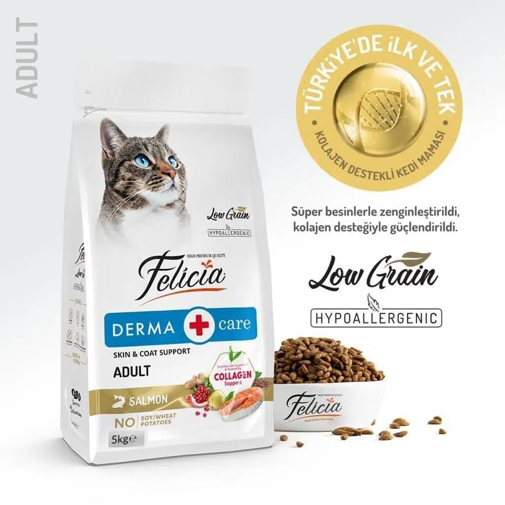 Felicia Somonlu Yetişkin Kedi Mamamsı 5 Kg