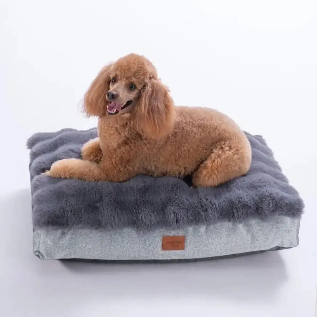 Pawstar Bubble Mat Köpek Yatağı Antrasit 50x75cm