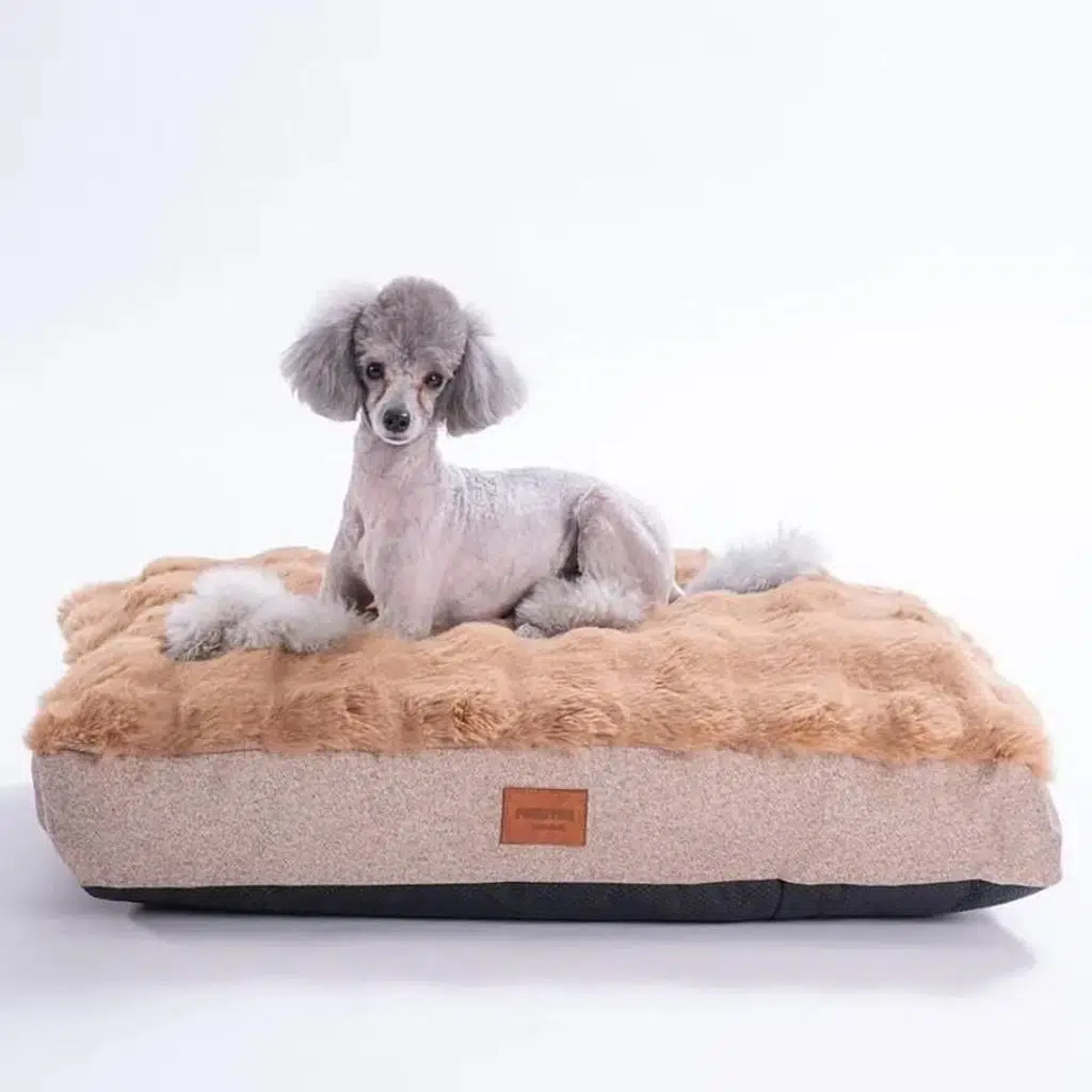 Pawstar Bubble Mat Köpek Yatağı Camel 50x75cm