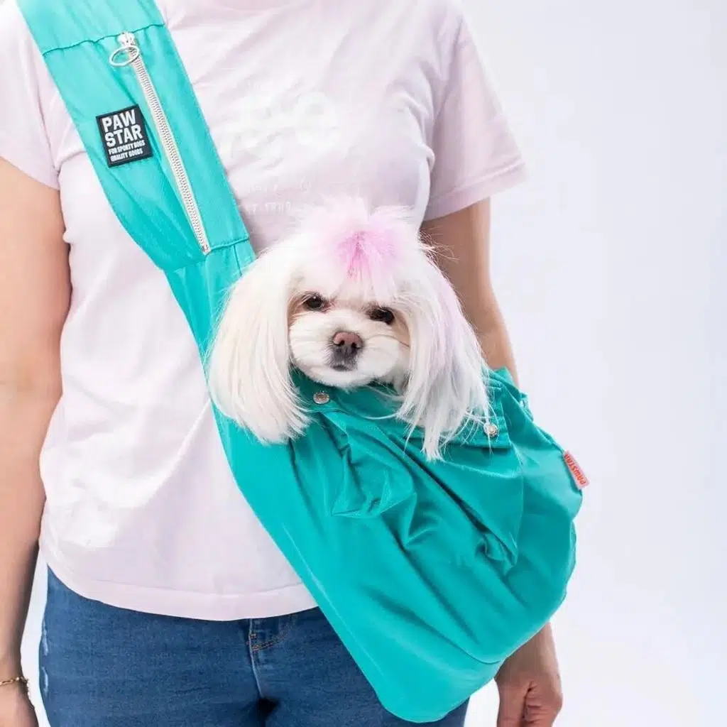Pawstar Crossbody Köpek Taşıma Çantası Mint