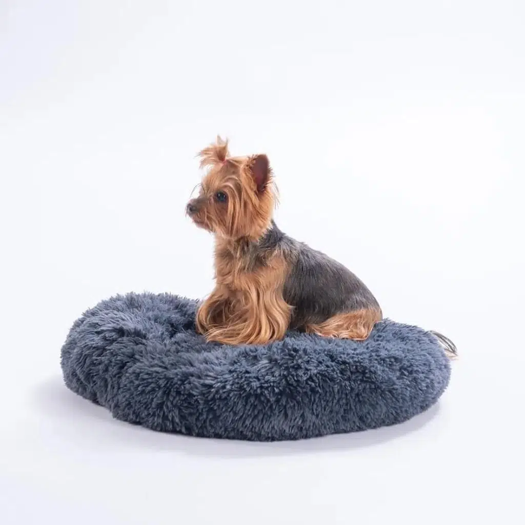 Pawstar Donut Kedi Köpek Yatağı Antrasit ( Large ) 65Cm