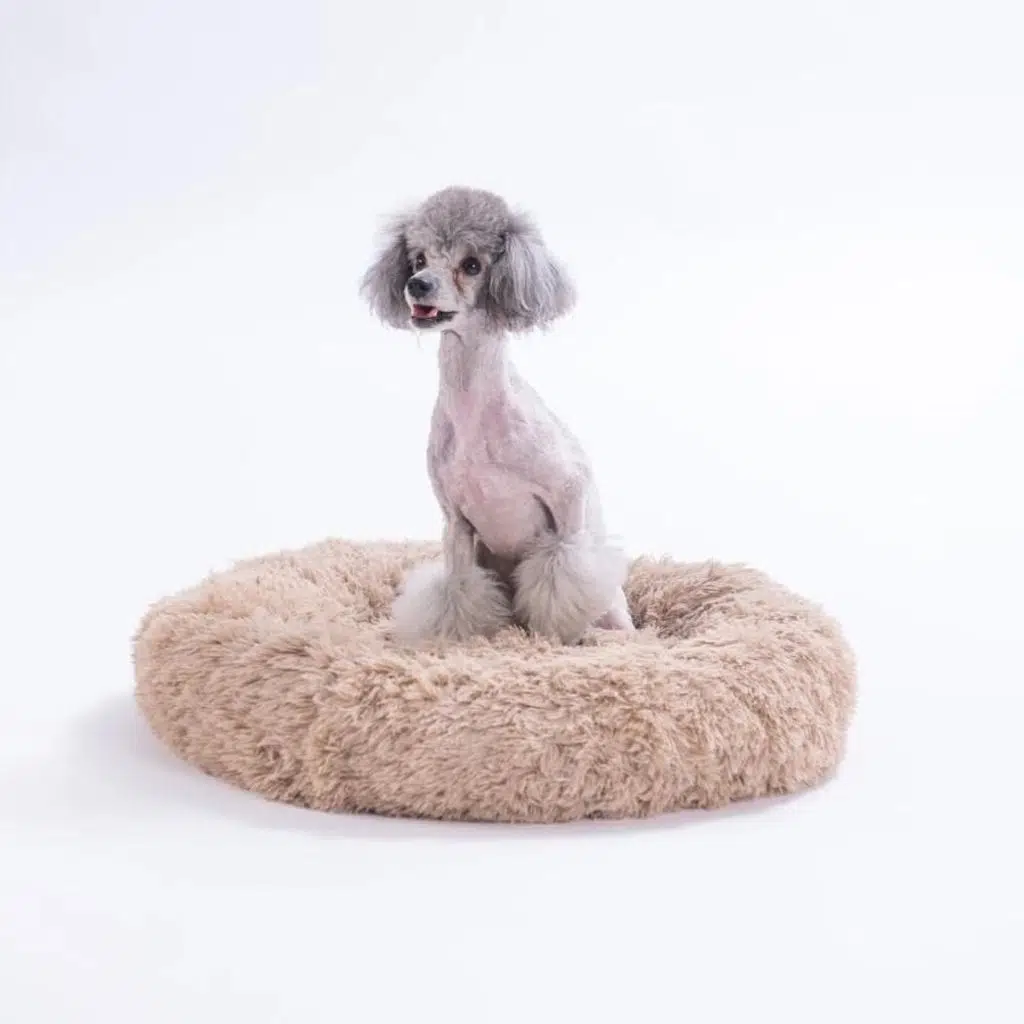 Pawstar Donut Kedi Köpek Yatağı Bej ( Medium ) 55Cm