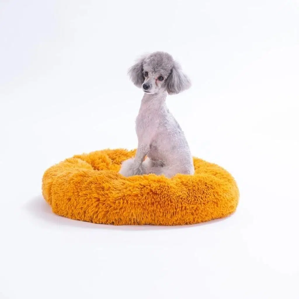 Pawstar Donut Kedi Köpek Yatağı Hardal ( Medium ) 55Cm