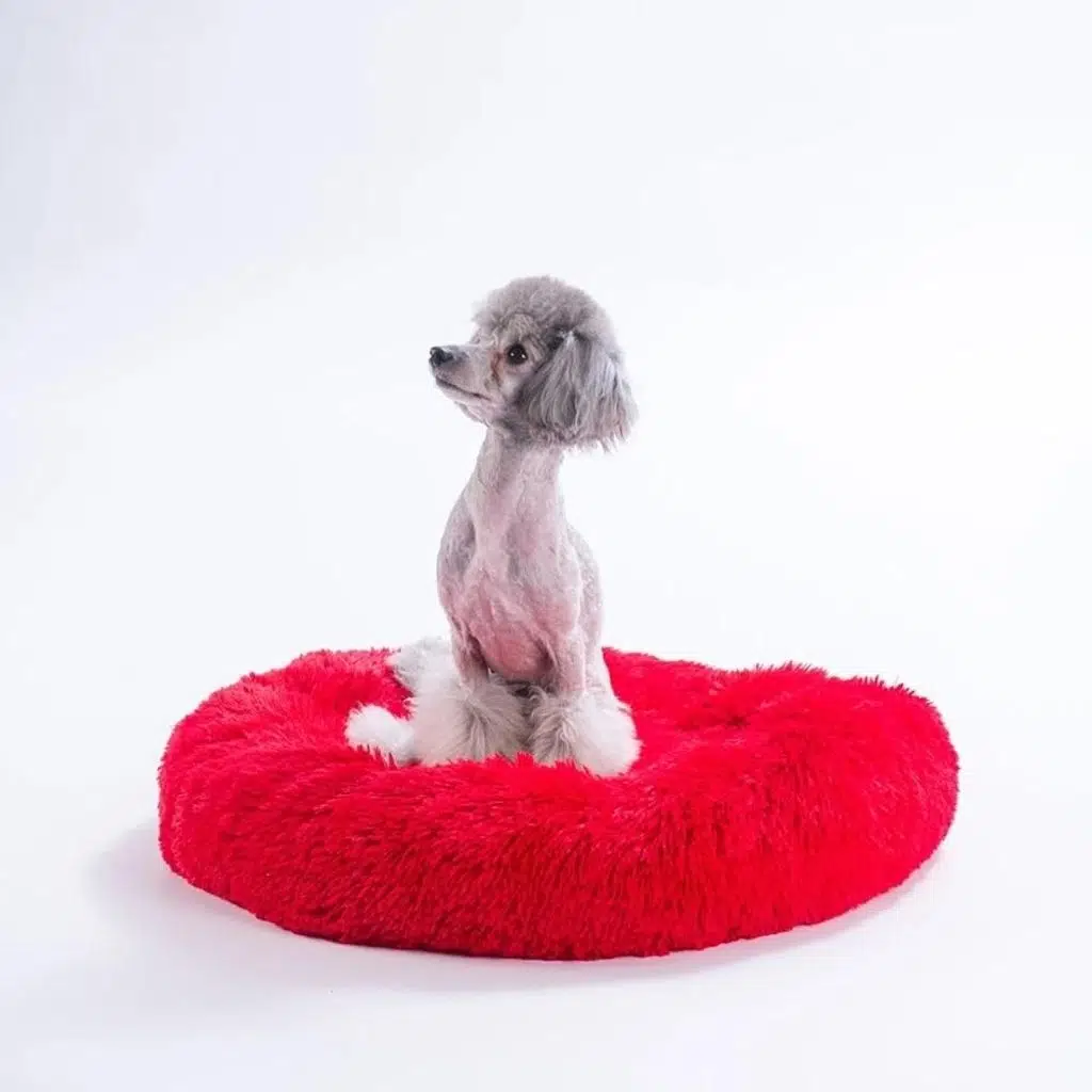 Pawstar Donut Kedi Köpek Yatağı Kırmızı ( Medium ) 55Cm