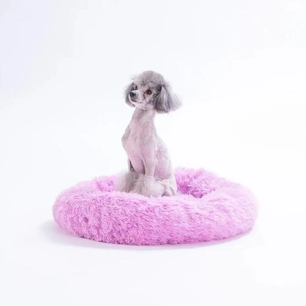 Pawstar Donut Kedi Köpek Yatağı Lila ( Medium ) 55Cm