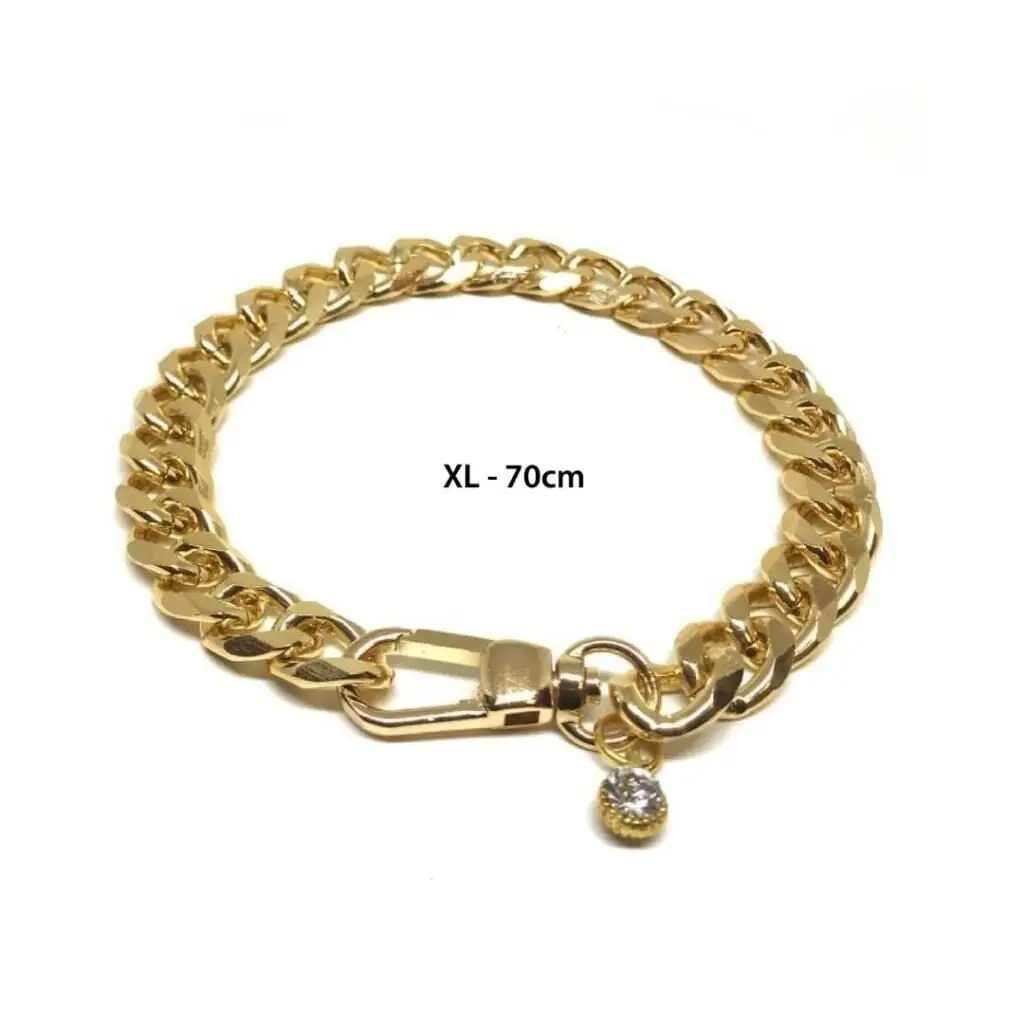 Petbucks Köpek Kolyesi XLarge 70 Cm(Gold)